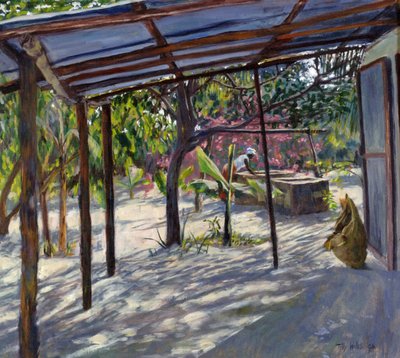 Morning Shadows, 2004 by Tilly Willis